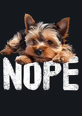 Yorkshire Terrier Nope