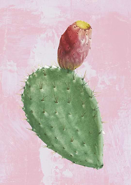 Opuntia Cochenillifera