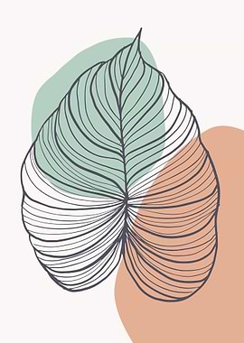 Monstera Tropical leaf