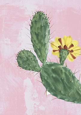 Prickly Pear Succulent