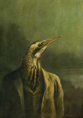 Bittern Gentleman