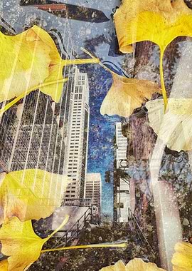 Reflection of the City