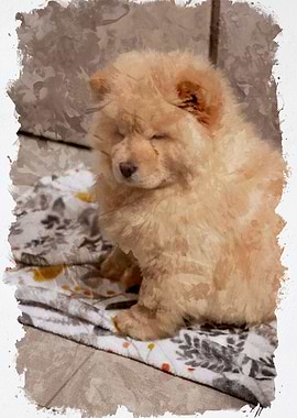 Chow Chow Dog Watercolor