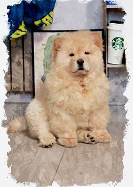 Chow Chow Dog Watercolor