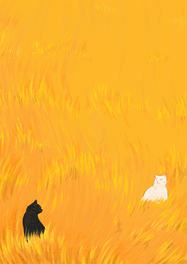 Cats in the golden lawn
