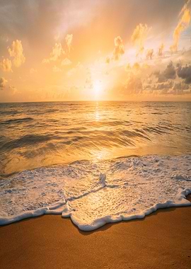 beach calming summer