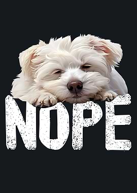 Maltese Dog Nope