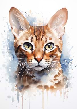 Arabian Mau cat portrait