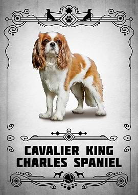 Cavalier King Charles Span