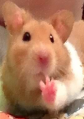 Hamster Meme