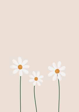 three daisies