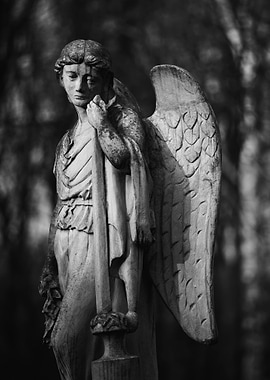 Angel In Black And White