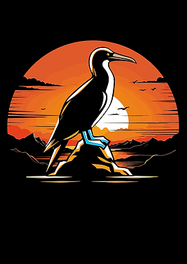 Bluefooted Booby Bird