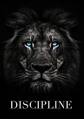 Lion Discipline