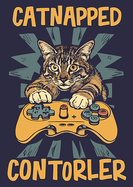 Catnapped Controller