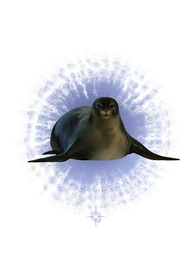Caribbean Monk Seal
