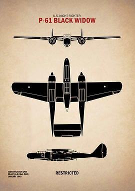 P61 Black Widow ID Chart