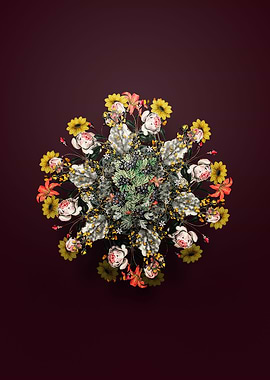 Hairy Black Hawthorn