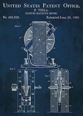 A stunning print of nikola