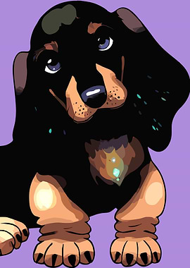 A cute Dachshund 001