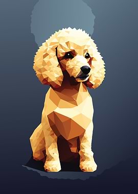 My Dog Poodle