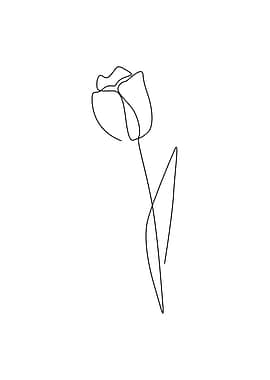 Tulip flower one line art