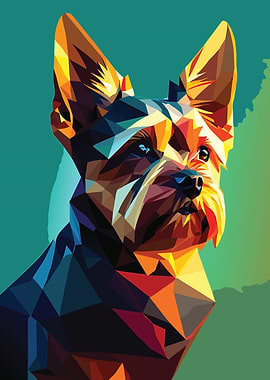 My Dog Yorkshire Terrier