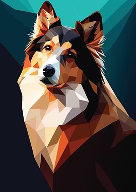 My Dog Shetland Sheepdog