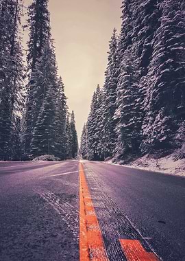 Winter Road