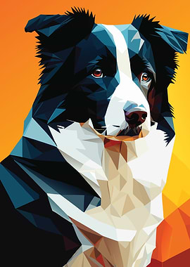 My Dog Border Collie