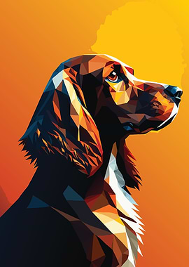 My Dog Cocker Spaniel