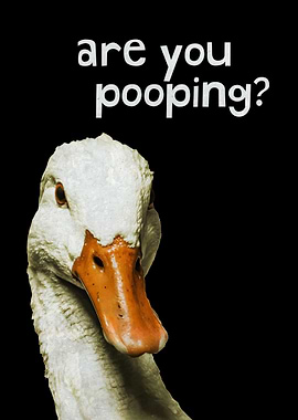 Cute Duck Are You Pooping