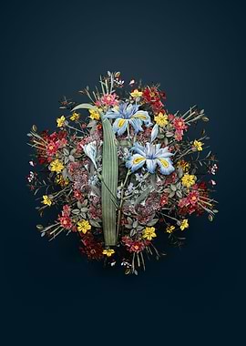 Butterfly Flower Iris