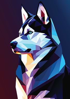 My Dog Siberian Husky