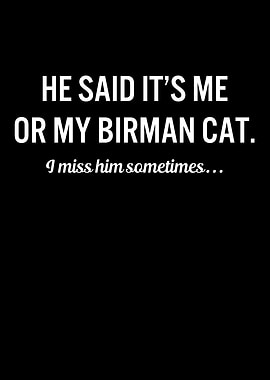 Funny Cats My Birman Cat