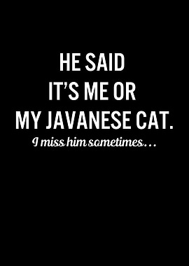 Funny Cats My Javanese Cat