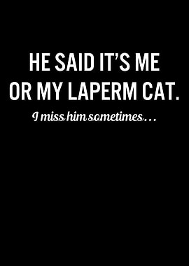 Funny Cats My Laperm Cat