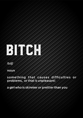 bitch funny defintion