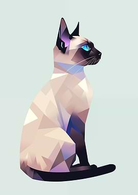 Geometric Siamese Cat