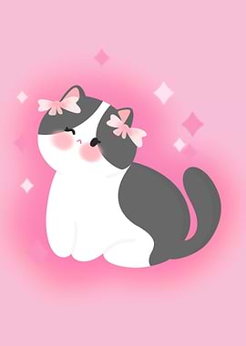 Coquette white grey cat