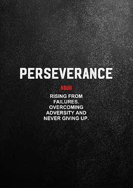 perseverance definition