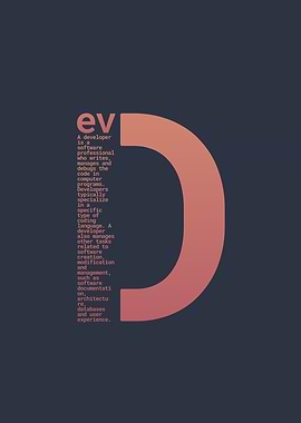 Developer Programmer