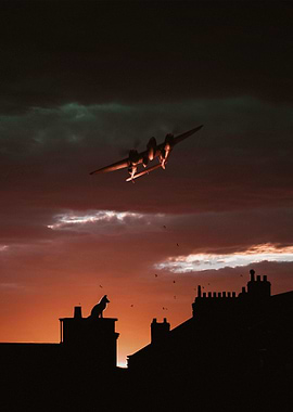 the plane and the fox