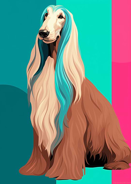 Afghan Hound wpap