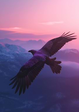 Eagle Aesthetic Sunset