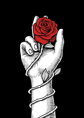Hand Red Rose Valentine