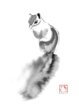 squirel