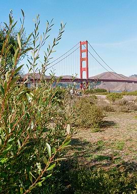 Golden Gate Bridge SF