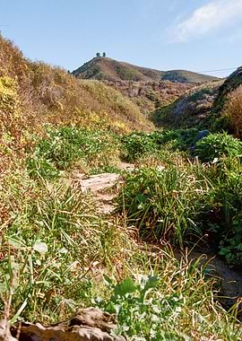 Big Sur California Nature