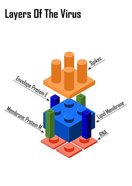 Layers of the Virus